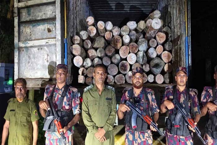 হবিগঞ্জে ৬০ লাখ টাকার গর্জন কাঠ ও কাভার্ড ভ্যান জব্দ