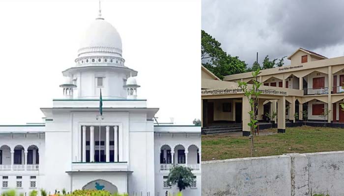 ইউনিয়নের চেয়ারম্যান হতে স্নাতক ডিগ্রি বাধ্যতামূলক করতে রুল জারি