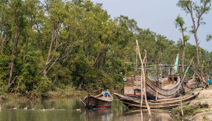 বঙ্গোপসাগরের পলিতে মূল্যবান খনিজ, সম্ভাবনার কেন্দ্রে নিঝুম দ্বীপ